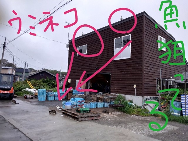 f:id:inakadss:20190829001830j:image