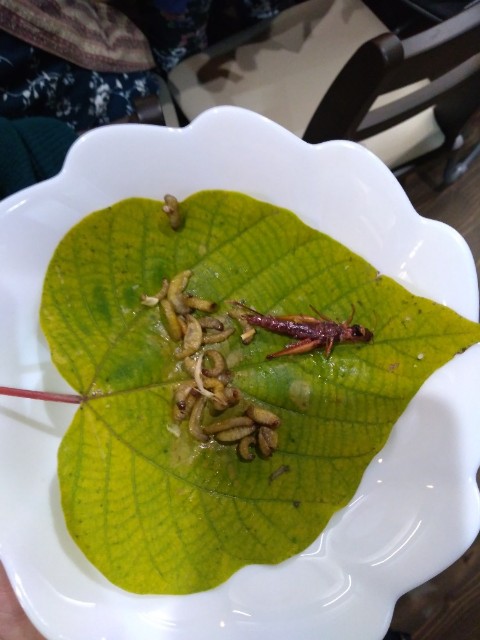 f:id:inakadss:20191126084009j:image f:id:inakadss:20191126084009j:image