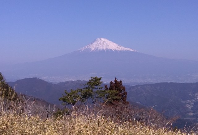 f:id:inakadss:20210222202821j:image