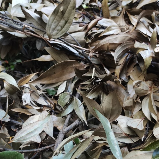 f:id:inakadss:20220307094705j:image f:id:inakadss:20220307094705j:image