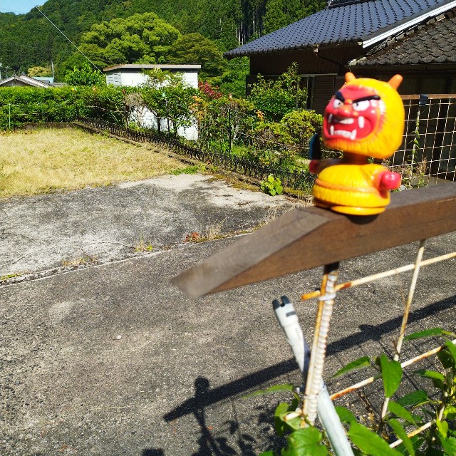 f:id:inakag:20240612183953j:image f:id:inakag:20240612183953j:image