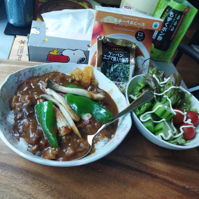 f:id:inakag:20240612185259j:image f:id:inakag:20240612185259j:image