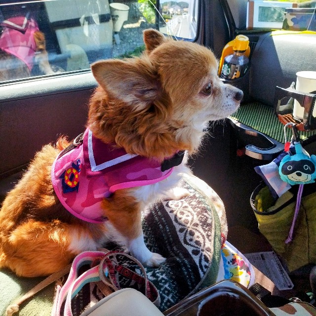 f:id:inakag:20240926144617j:image f:id:inakag:20240926144617j:image