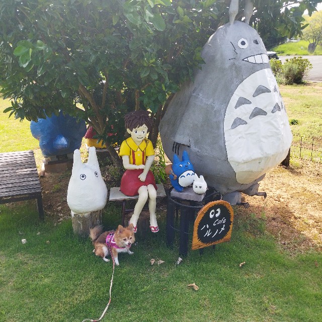 f:id:inakag:20240926144720j:image f:id:inakag:20240926144720j:image