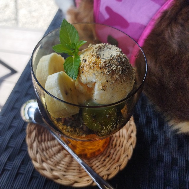 f:id:inakag:20240926144807j:image f:id:inakag:20240926144807j:image