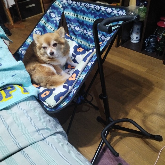 f:id:inakag:20241009140311j:image f:id:inakag:20241009140311j:image