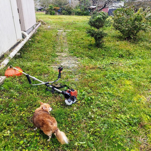 f:id:inakag:20241024154735j:image