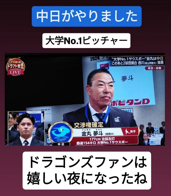 f:id:inakag:20241024180342j:image