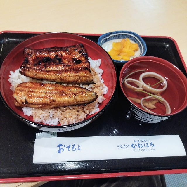 f:id:inakag:20241121213932j:image