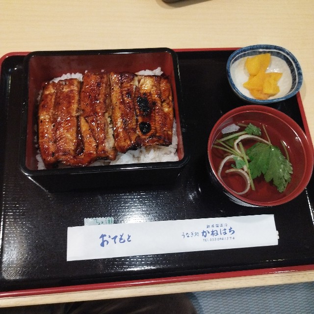 f:id:inakag:20241121214224j:image