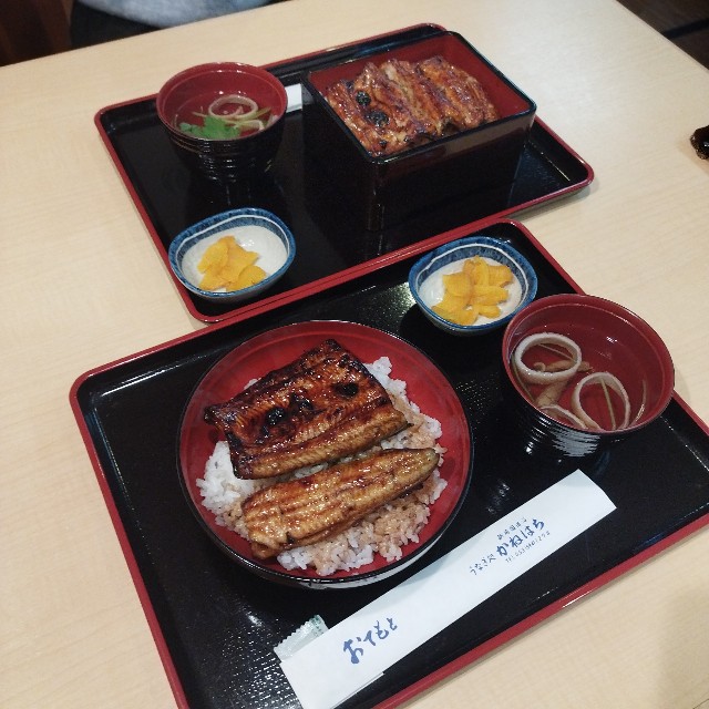 f:id:inakag:20241121220407j:image