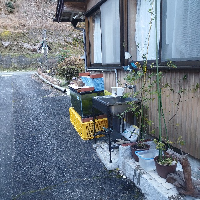 f:id:inakag:20250104112206j:image