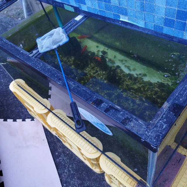 f:id:inakag:20250104112225j:image