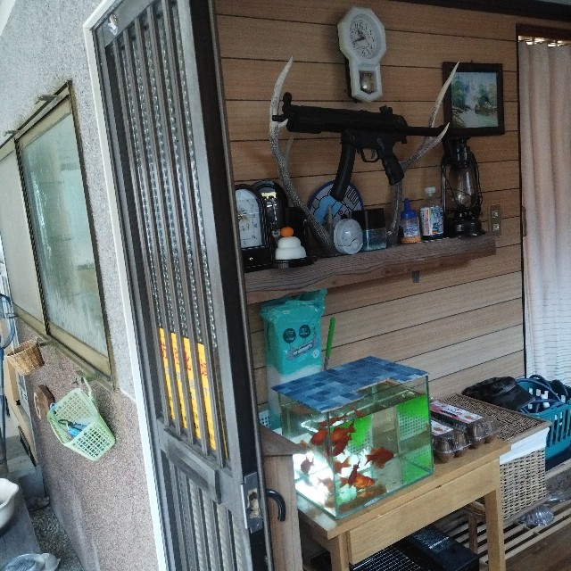 f:id:inakag:20250104112238j:image