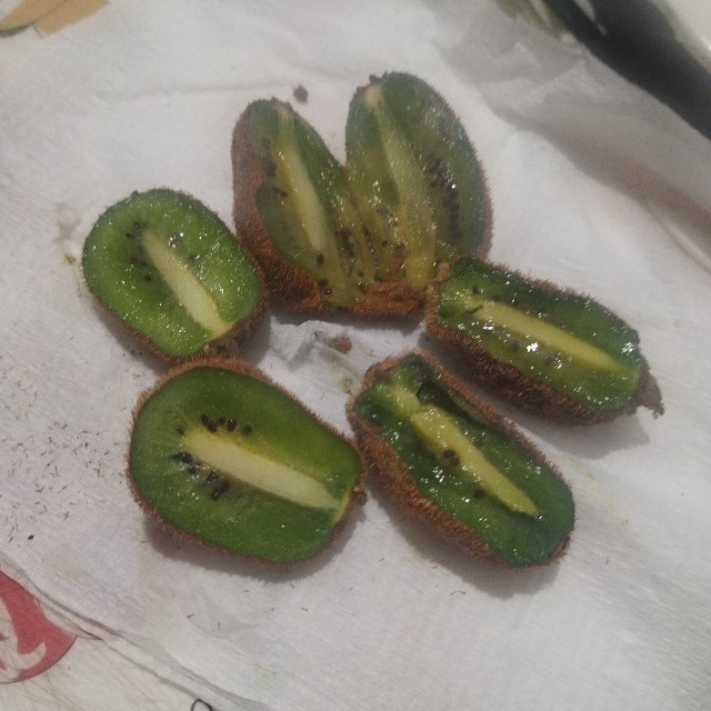 f:id:inakag:20250104115348j:image