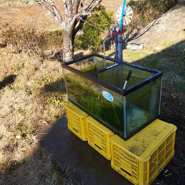 f:id:inakag:20250107072756j:image f:id:inakag:20250107072756j:image