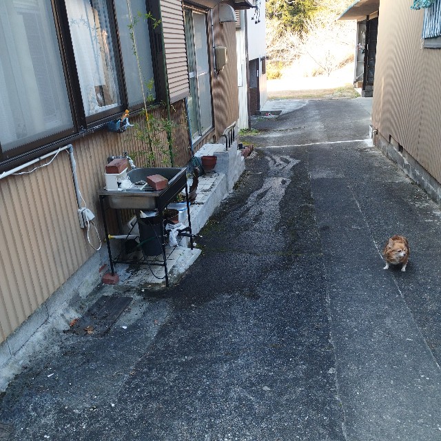 f:id:inakag:20250107073047j:image f:id:inakag:20250107073047j:image