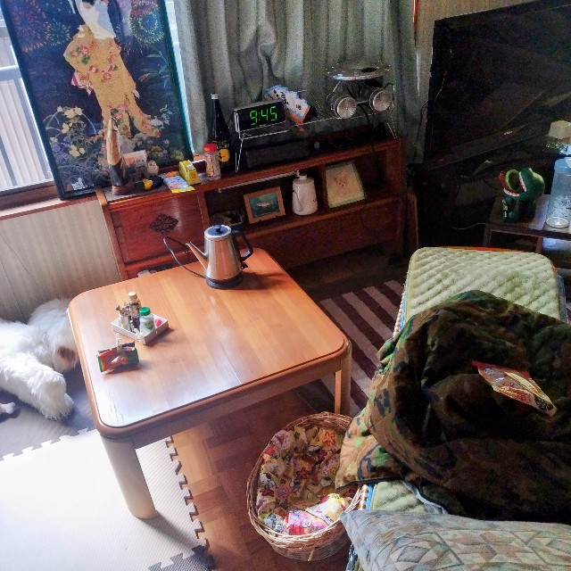 f:id:inakag:20250107101834j:image f:id:inakag:20250107101834j:image