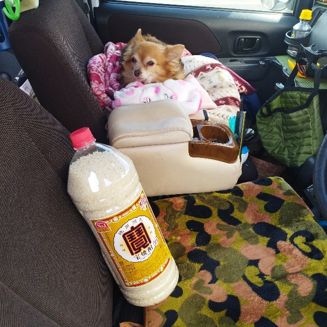 f:id:inakag:20250131170034j:image f:id:inakag:20250131170034j:image