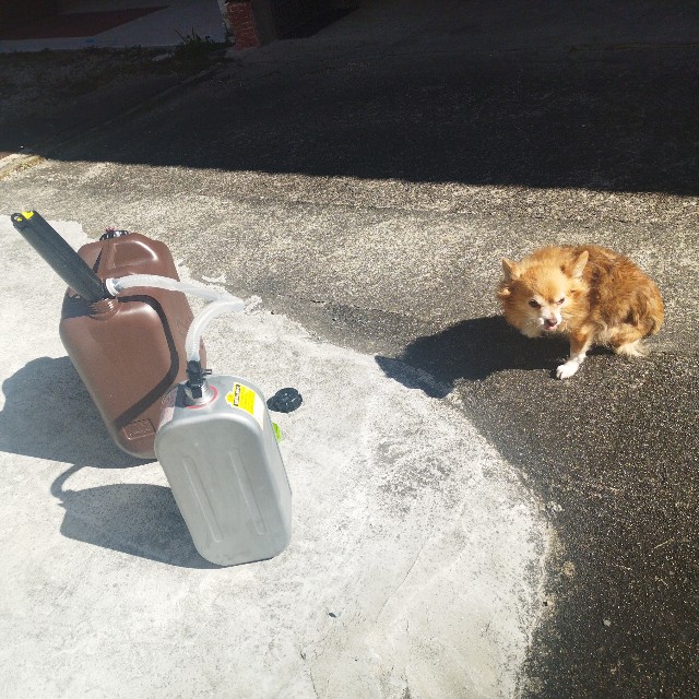 f:id:inakag:20250224224346j:image f:id:inakag:20250224224346j:image