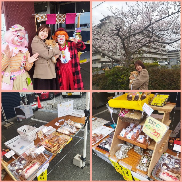 f:id:inakag:20250329193347j:image