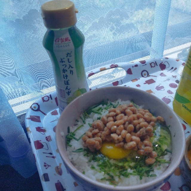 f:id:inakag:20250409170255j:image f:id:inakag:20250409170255j:image