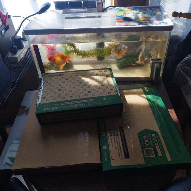 f:id:inakag:20250409170456j:image f:id:inakag:20250409170456j:image