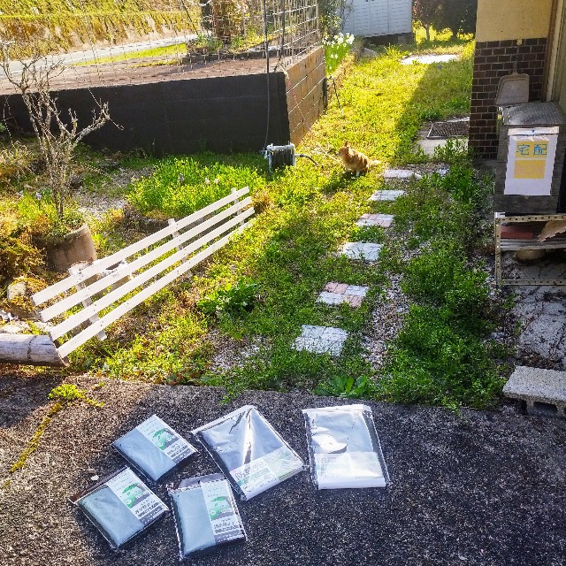 f:id:inakag:20250409185722j:image f:id:inakag:20250409185722j:image