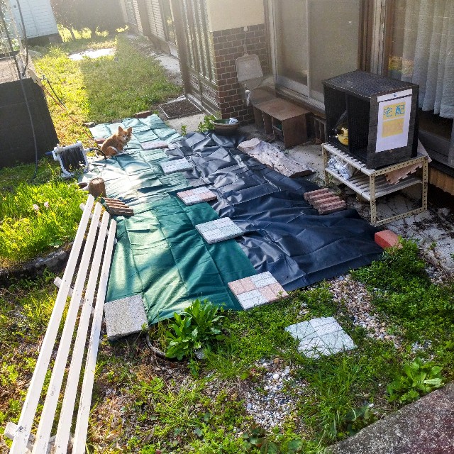 f:id:inakag:20250409185741j:image f:id:inakag:20250409185741j:image