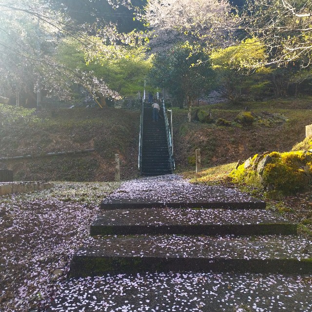 f:id:inakag:20250412130020j:image