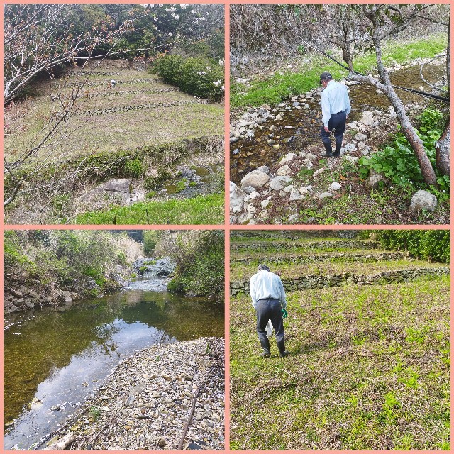 f:id:inakag:20250412182625j:image