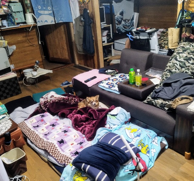 f:id:inakag:20250415181049j:image f:id:inakag:20250415181049j:image