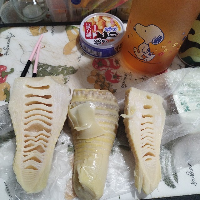 f:id:inakag:20250415181533j:image f:id:inakag:20250415181533j:image