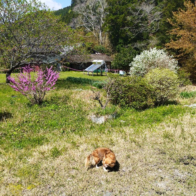 f:id:inakag:20250416132554j:image f:id:inakag:20250416132554j:image