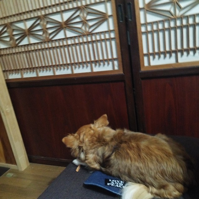 f:id:inakag:20250417180850j:image f:id:inakag:20250417180850j:image