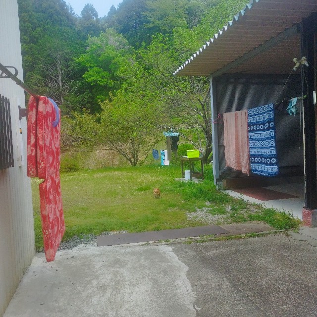 f:id:inakag:20250426161018j:image