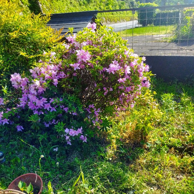 f:id:inakag:20250504174642j:image f:id:inakag:20250504174642j:image