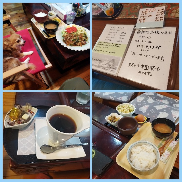 f:id:inakag:20250604163213j:image