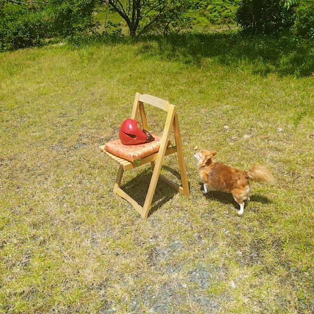 f:id:inakag:20250729124827j:image f:id:inakag:20250729124827j:image