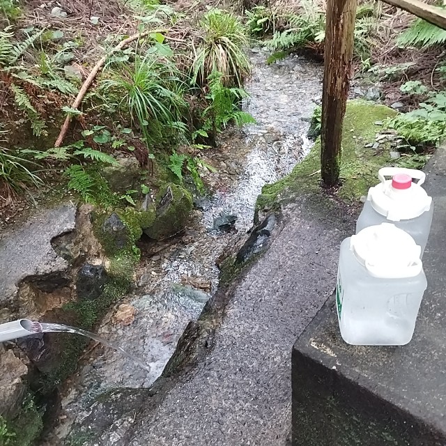 f:id:inakag:20250918134921j:image f:id:inakag:20250918134921j:image