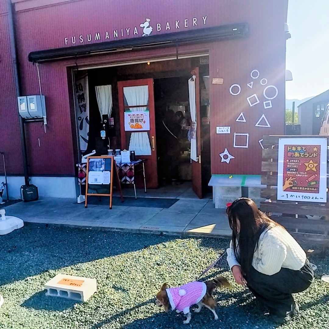 f:id:inakag:20251130121322j:image f:id:inakag:20251130121322j:image