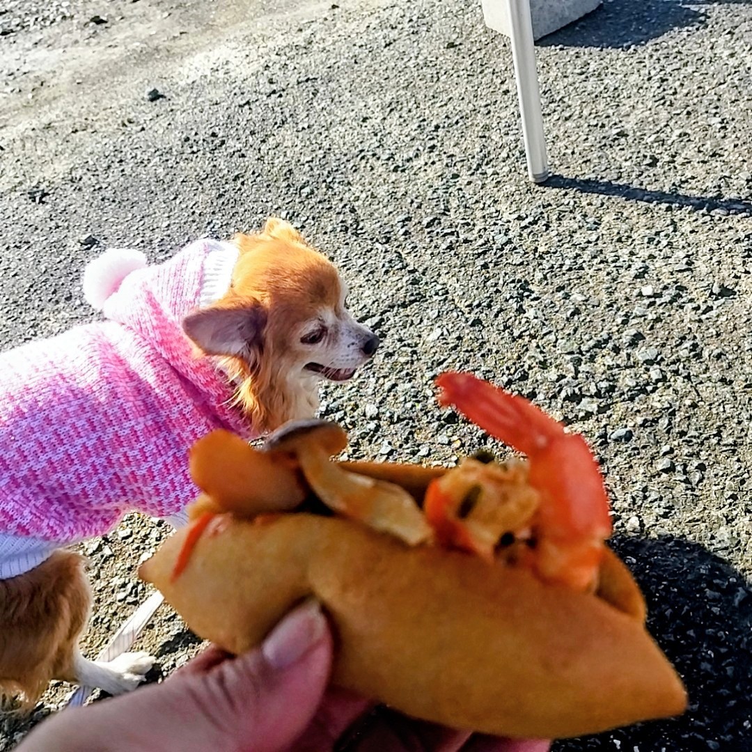 f:id:inakag:20251130121543j:image f:id:inakag:20251130121543j:image