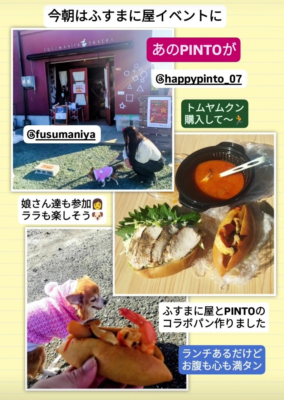 f:id:inakag:20251130122240j:image f:id:inakag:20251130122240j:image