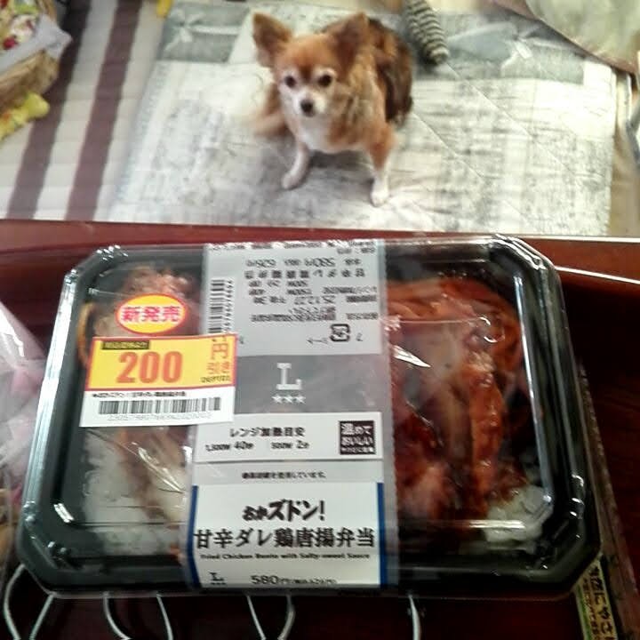 f:id:inakag:20251228093421j:image f:id:inakag:20251228093421j:image