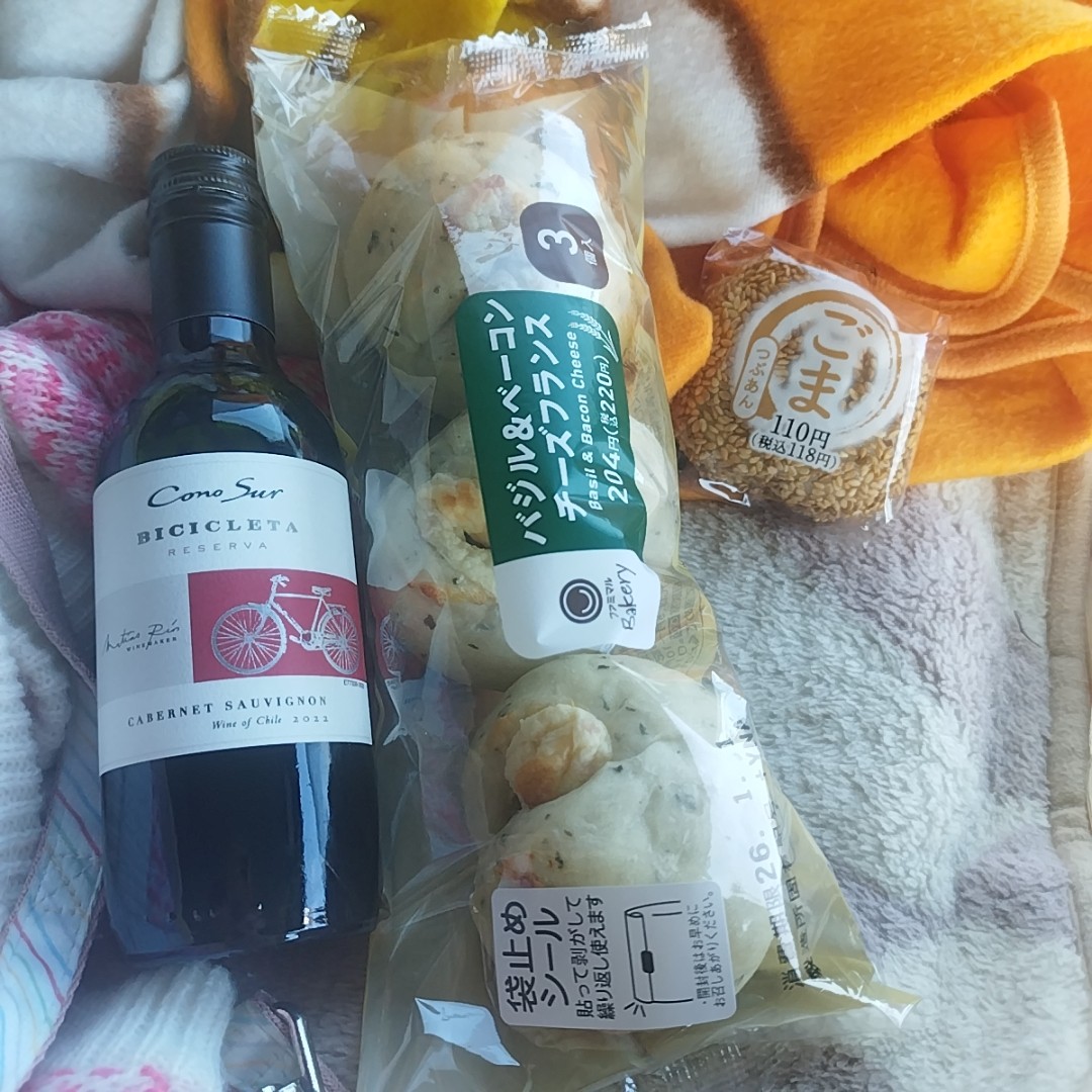 f:id:inakag:20251230171652j:image f:id:inakag:20251230171652j:image