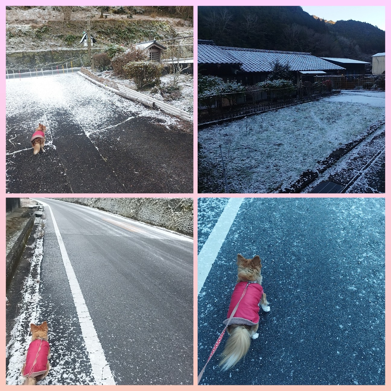 f:id:inakag:20260103084453j:image