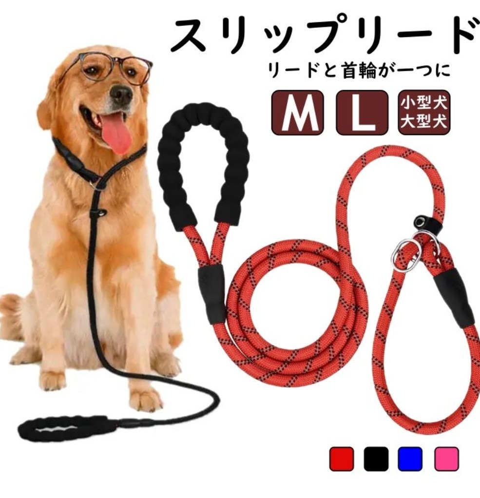 f:id:inakag:20260125121028j:image