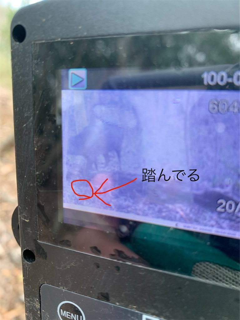 f:id:inakahunter:20200305201902j:image