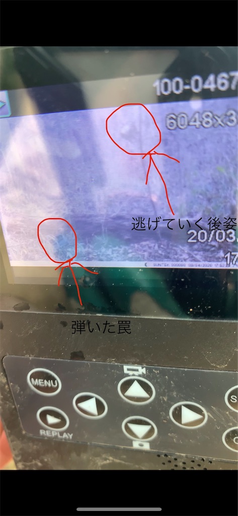 f:id:inakahunter:20200305201930j:image