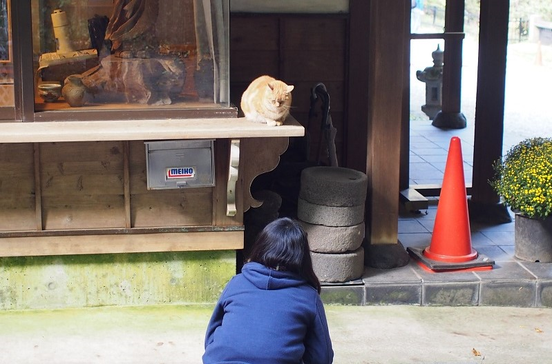 f:id:inakakaoru:20191026174854p:plain